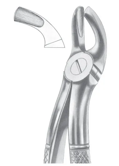 Fig. 19 upper third molars 